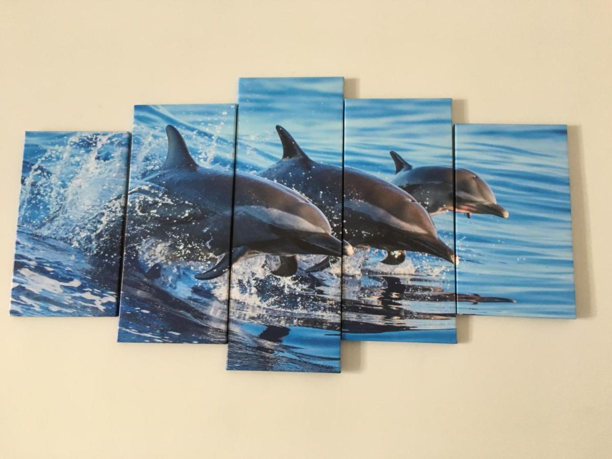 Dolphin Maeva Residencial Villa Puerto Peñasco Exteriör bild